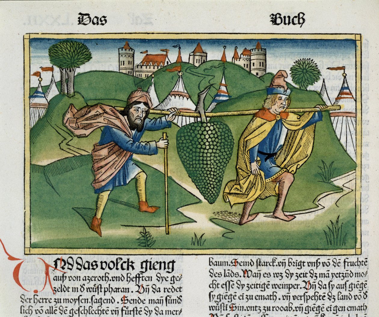 Numeri 13 23 Hrozny Escholu z Norimberské bible (Biblia Sacra Germanaica) (kolorovaný dřevoryt) od German School