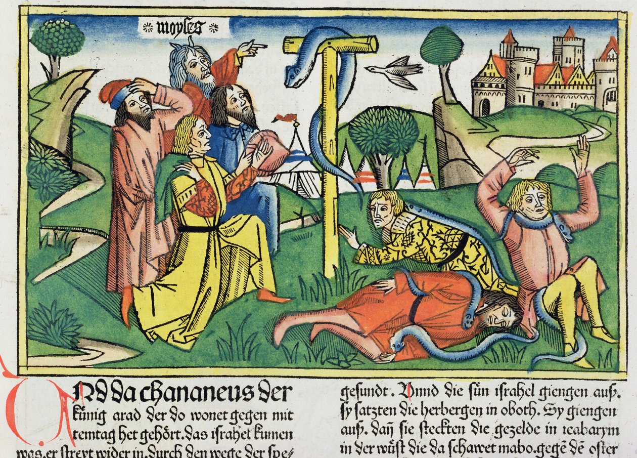 Numeri 21 4-9 Jedovatí hadi uštknou vzpurné Izraelity, z Norimberské bible (Biblia Sacra Germanaica) (kolorovaný dřevoryt) od German School