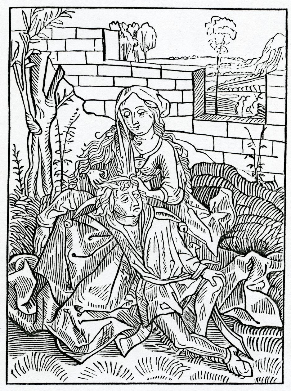 O chybách, které si nemohou udržet své vlastní rady, ilustrace z anglického překladu Alexandra Barclaye „The Ship of Fools“, z vydání vydaného v roce 1874 od German School