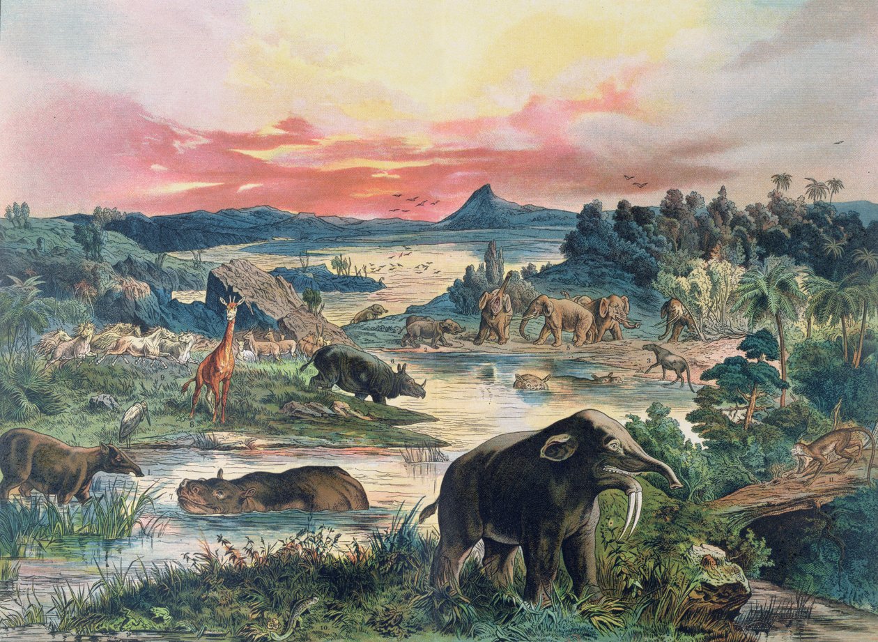Pravěk - třetihory - rekonstrukce přírodního prostředí v Evropě a některých živočichů tohoto období, 1886 od German School