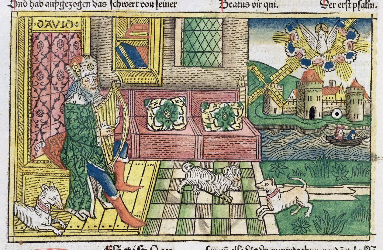 Žalmy: frontispis zobrazující krále Davida hrajícího na lyru, z norimberské bible (Biblia Sacra Germanaica) (barevný dřevoryt) od German School