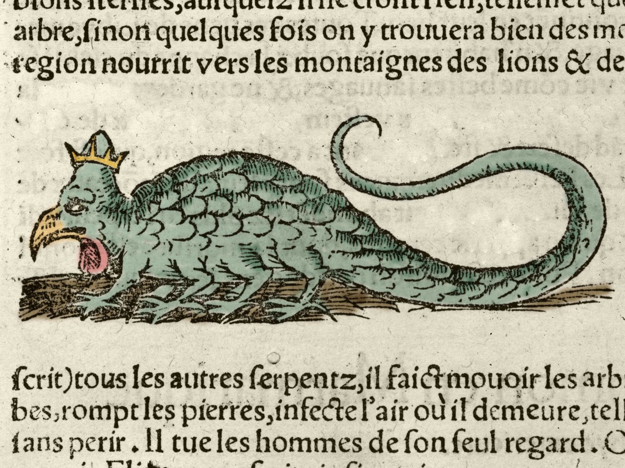 Znázornění mytologického monstra Basil Xilography převzato z Univerzální kosmografie Sebastiena Munstera. Žok od German School