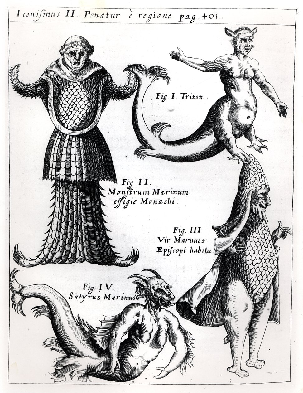 Mořské příšery, ilustrace z Physica Curiosa od Gaspara Schotta S.J. (1608-66), publikoval Würzburg 1662 od German School