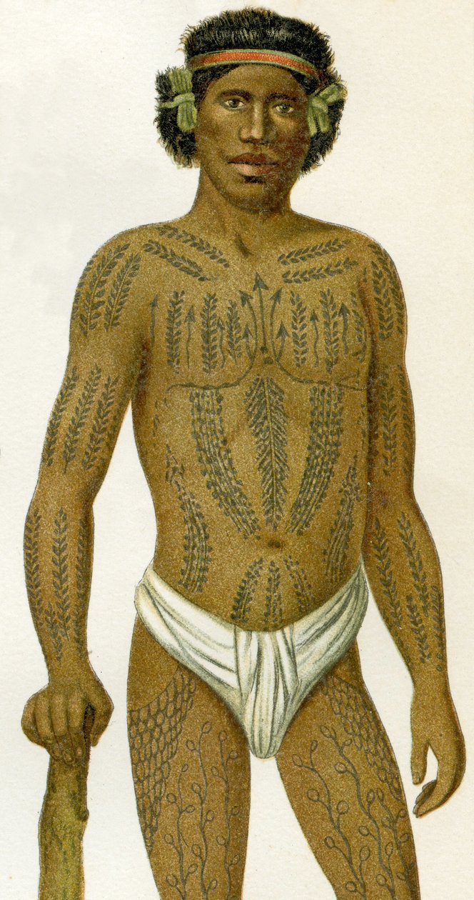 Potetovaný muž z Caroline Islands, 1894 od German School