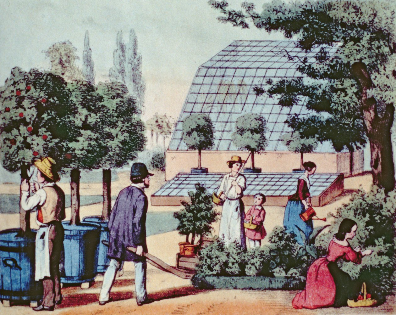 Péče o zahradu, asi 1860 (barevná rytina) od German School