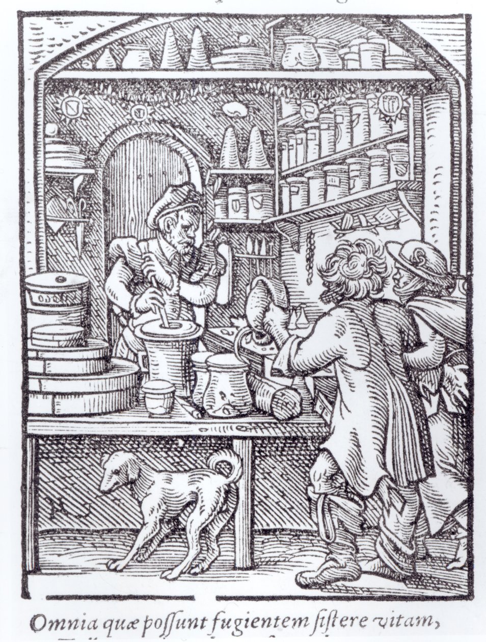 The Apothecary, vydané nakladatelstvím Hartman Schopper od German School