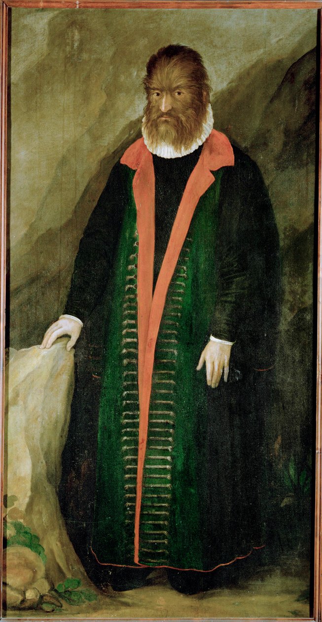 Chlupáč, Petrus Gonzalvus, narozen 1556 na Teneriffě... od German School