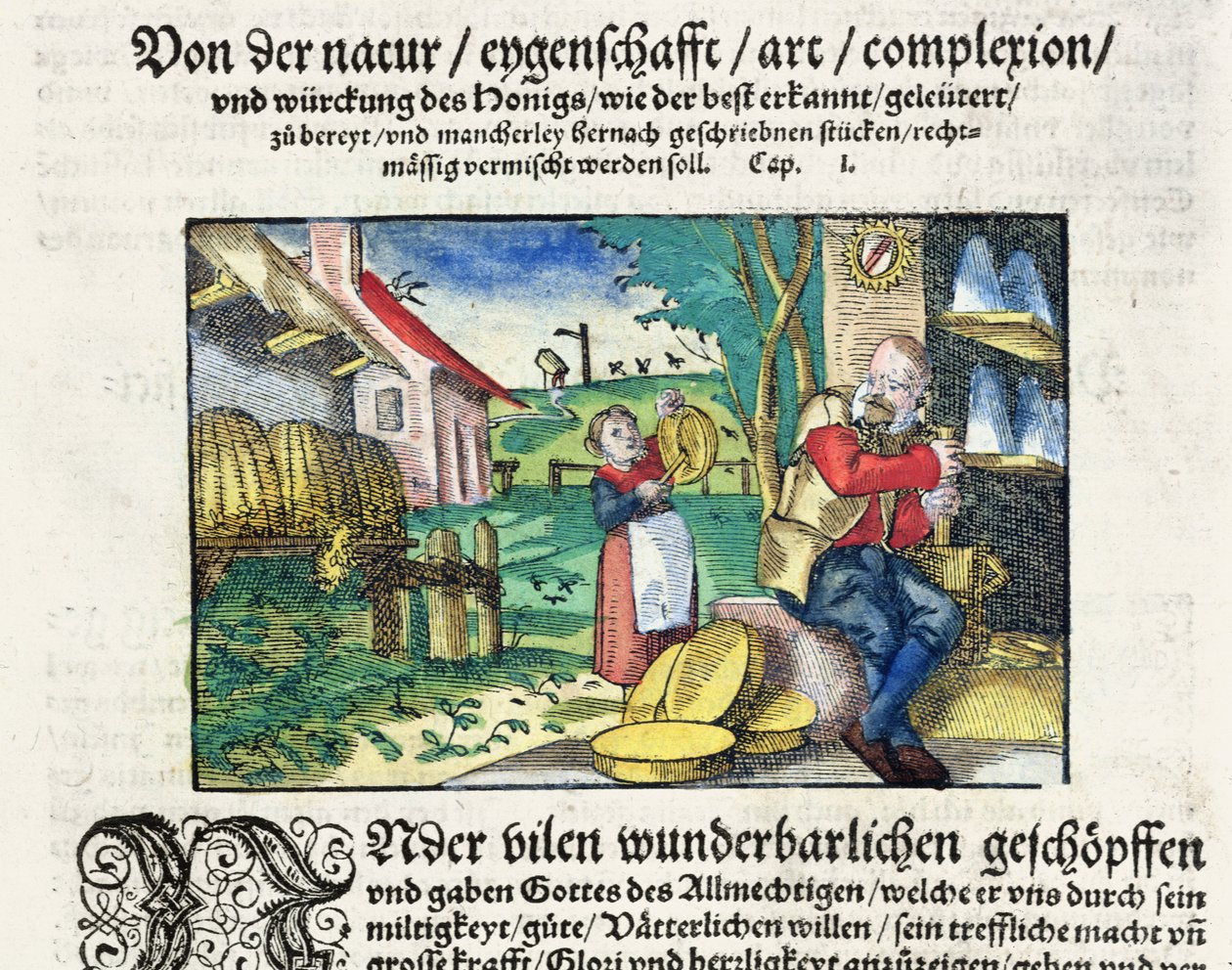 Léčivé a terapeutické využití medu v medicíně, ilustrace z německého pojednání o lécích vydaného ve Štrasburku v roce 1573 (barevný dřevoryt) od German School