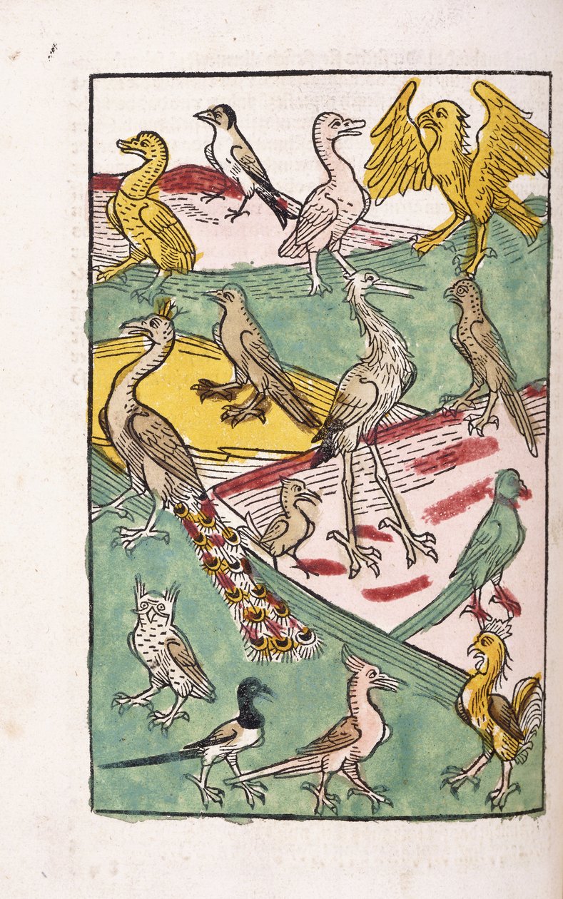 Různé druhy ptáků v krajině, 1499 od German School
