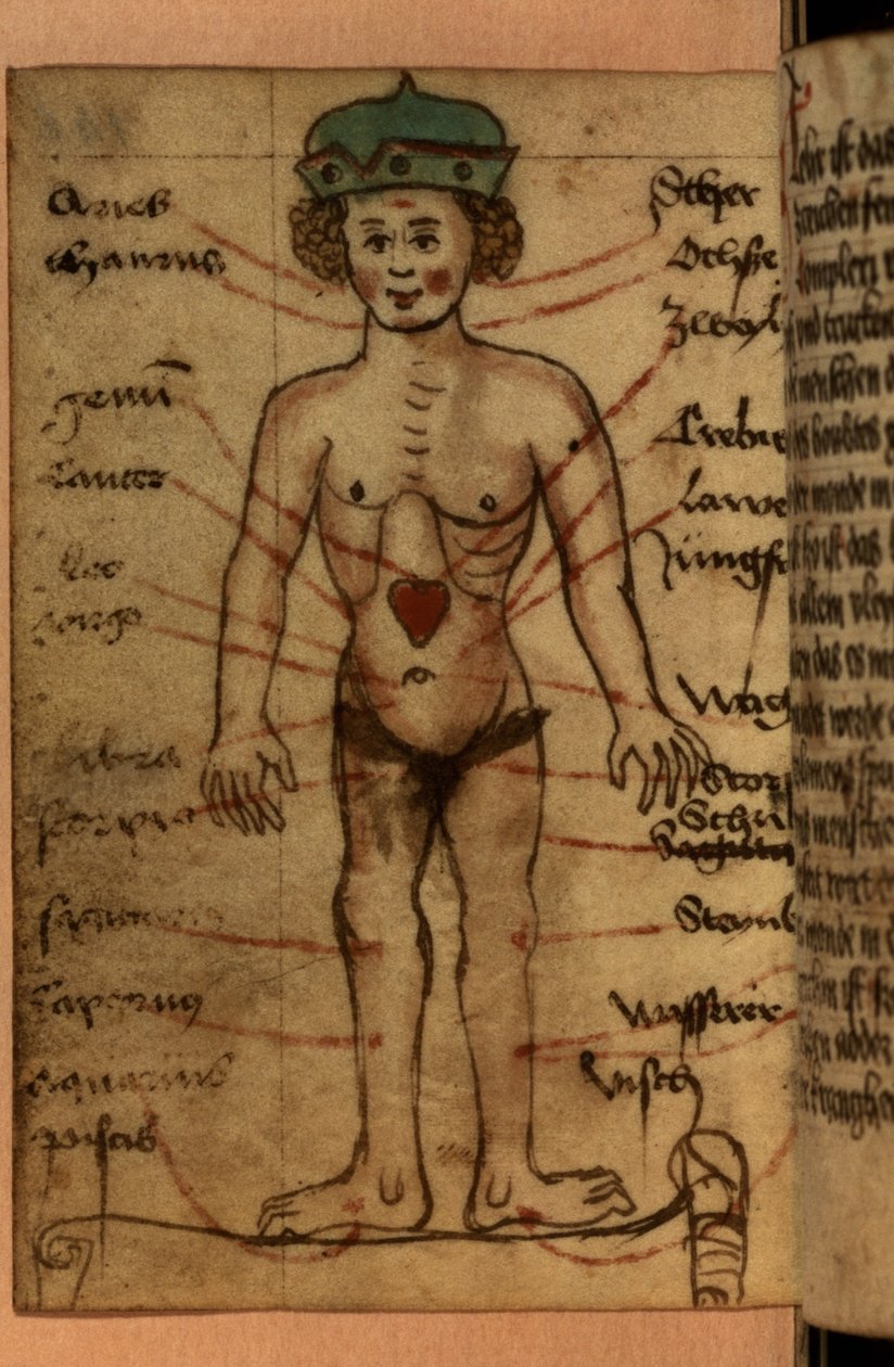 Diagram zvěrokruhu zobrazující polohu srdce ze sbírky modliteb a astrologických postav od German School