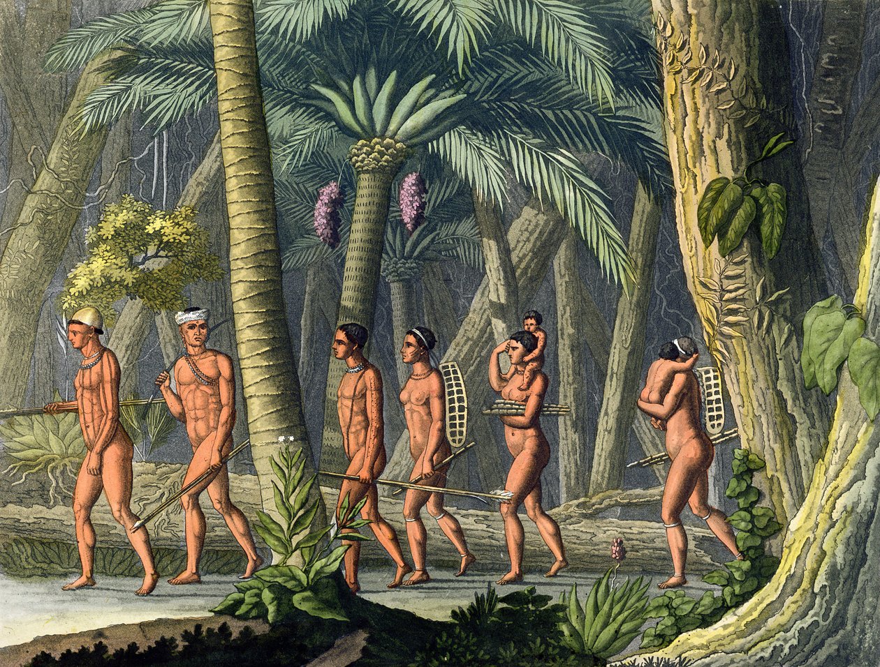 Indiánští domorodci Puri Tribesmen in their Forest, z „Le Costume Ancien et Moderne“, svazek I, deska 46, od Julese Ferraria, vydáno kolem 20.–30. let 18. století (barevná rytina) (viz také 177058) od Gerolamo Fumagalli