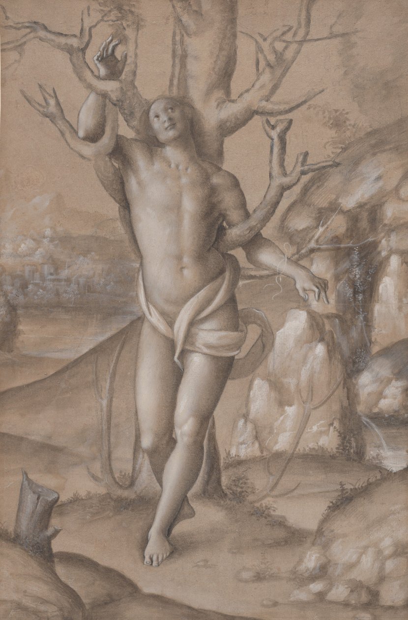 Svatý Sebastian, ca. 1524. od Gerolamo Giovenone