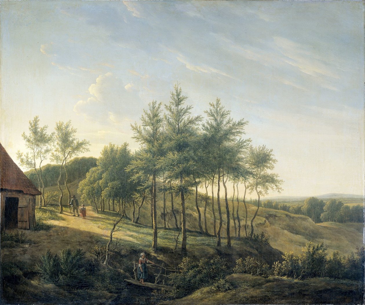 Kopcovitá krajina od Gerrit Jan Michaëlis