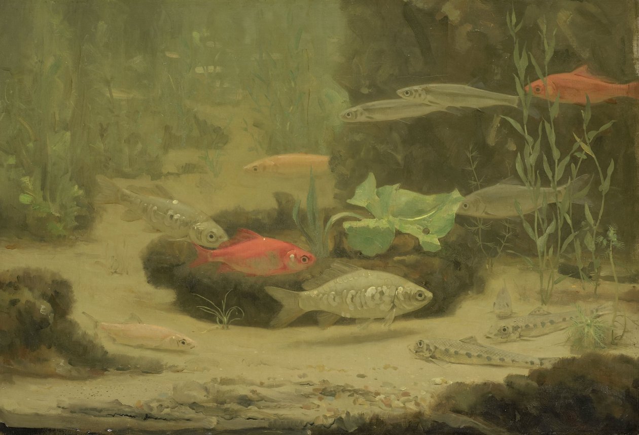  od Gerrit Willem Dijsselhof