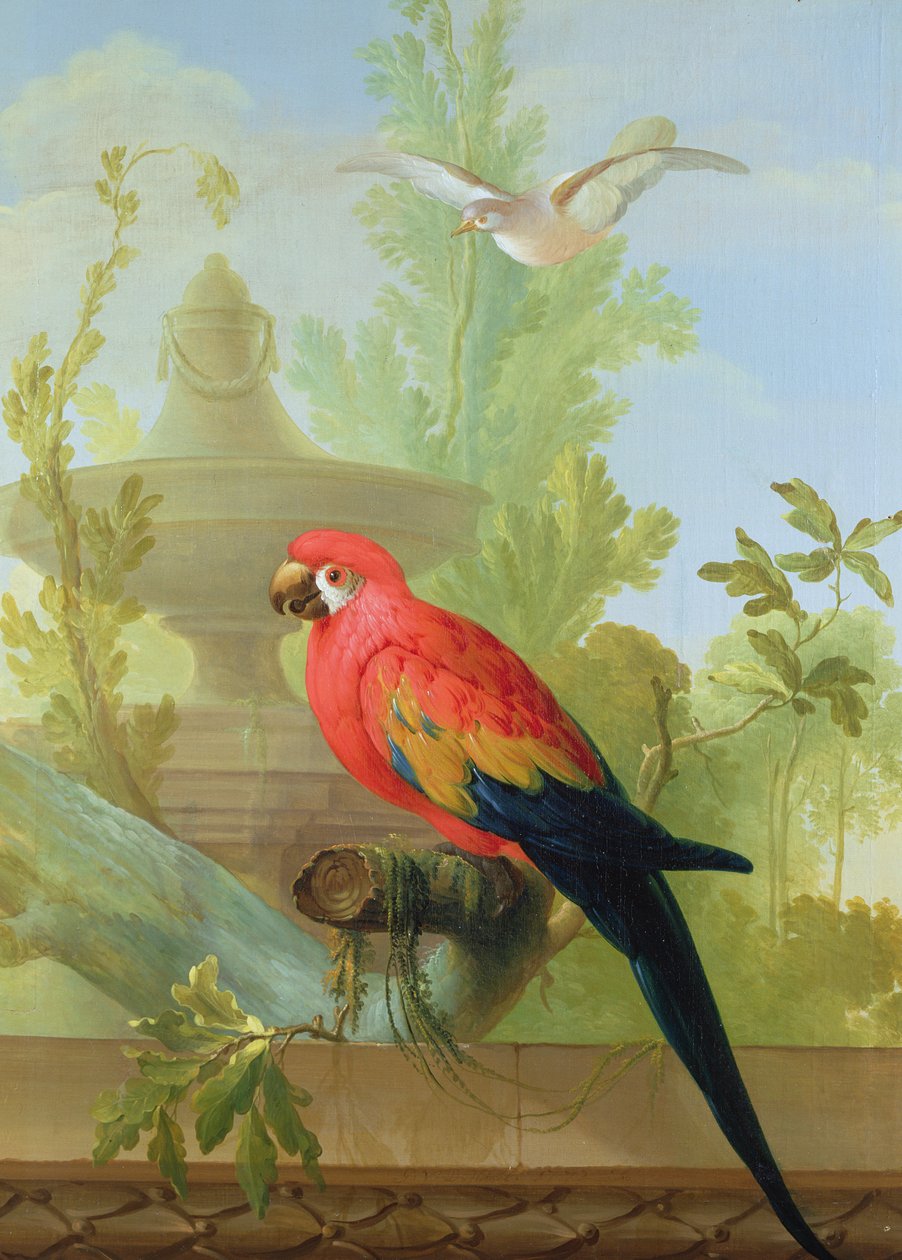 Ara a holubice v okrasné zahradě, 1772 od Gerrit van den Heuvel