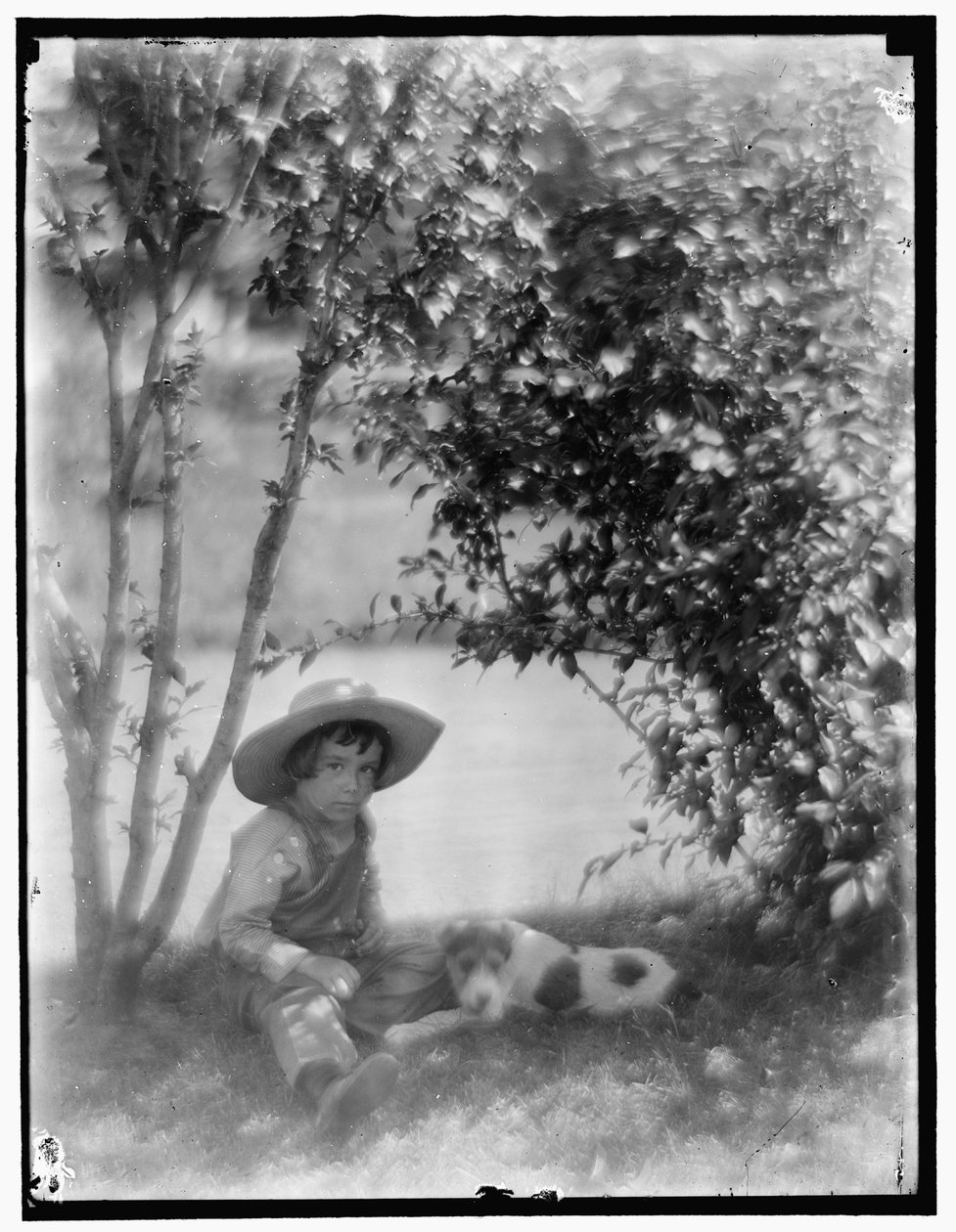 Chlapec se psem od Gertrude Käsebier