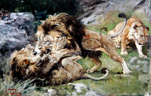 Barbary Lions Fighting, cca 1890 (olej na plátně) od Geza Vastagh