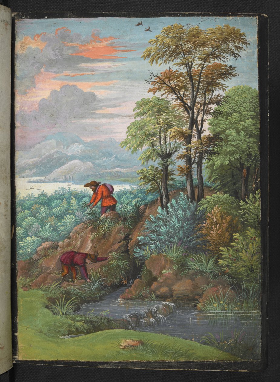 Dva muži hledající rostliny v zalesněné oblasti, z "Obrazy flóry římských států" od Gherarda Ciba, Add MS 22333, f006r, cca 1564-84 (akvarel a kvaš na papíře) od Gherardo Cibo
