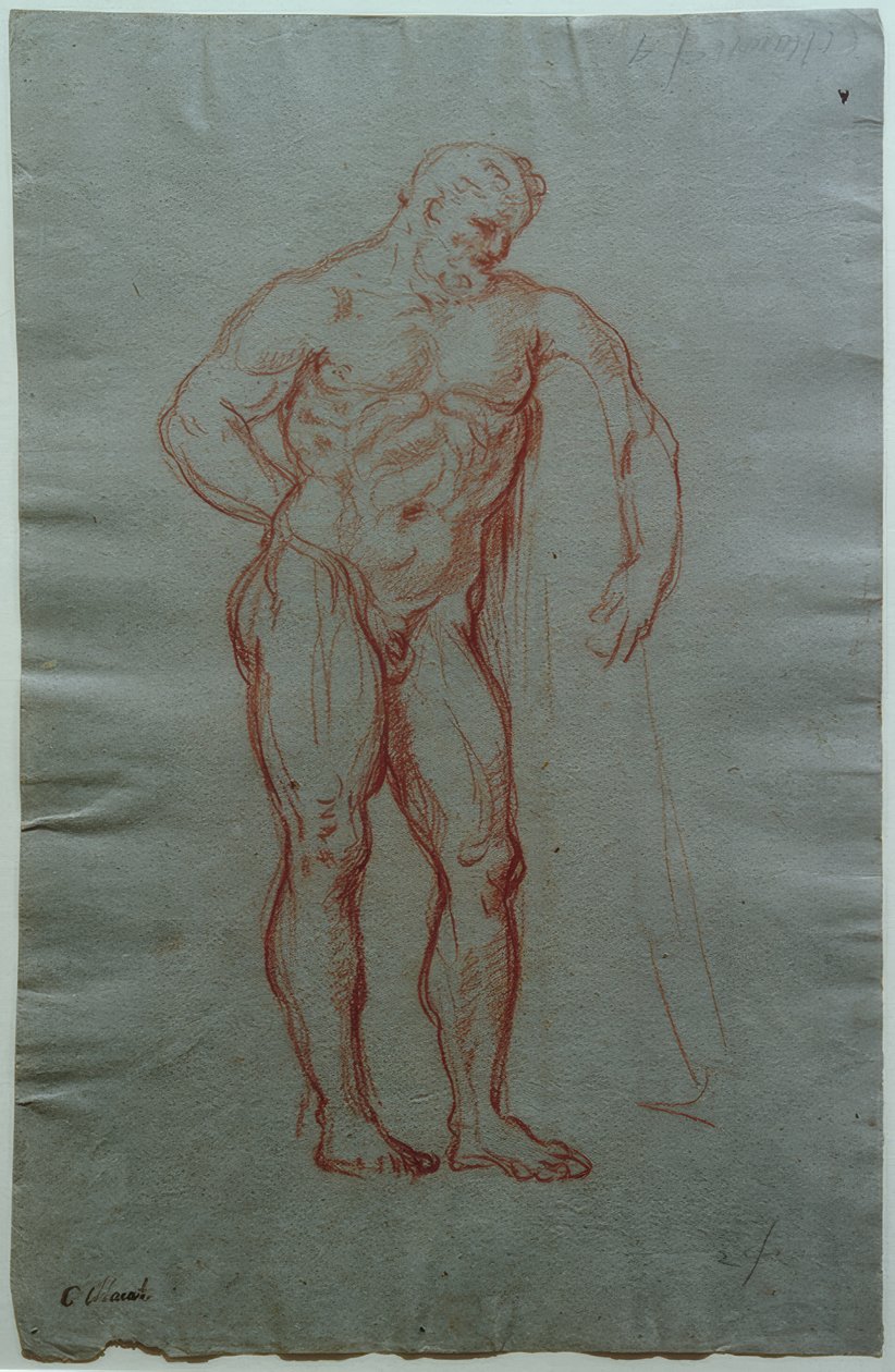Studie podle postavy Farnese Herkula od Giacinto Calandrucci