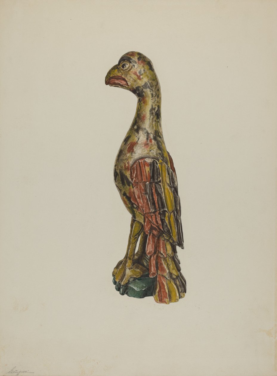 Pa. Německý papoušek, c. 1939. od Giacinto Capelli