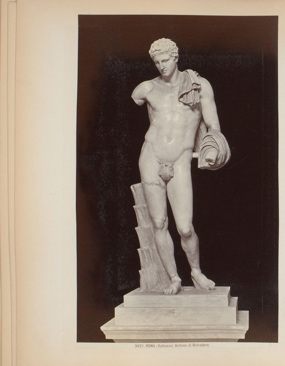 Socha Herma z Belvederu ve Vatikánských muzeích v Římě, Itálie Roma (Vaticano) Antinoo di Belvedere (titul na objektu) od Giacomo Brogi (attributed to)