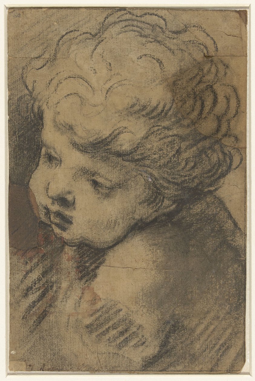 Hlava putta od Giacomo Cavedone (attributed to)