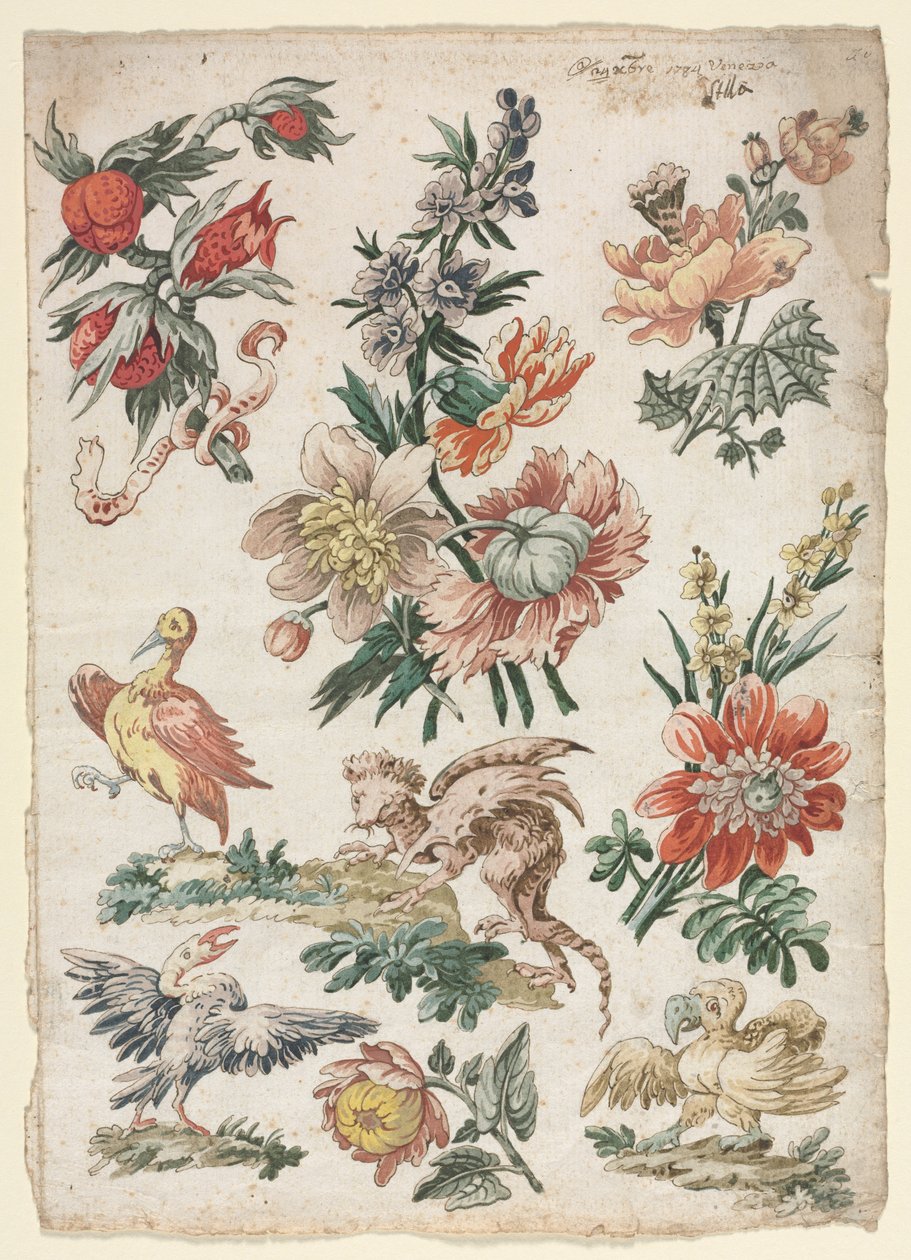 Květinové vzory s ptáky a grifonky, 1784. od Giacomo Cavenezia
