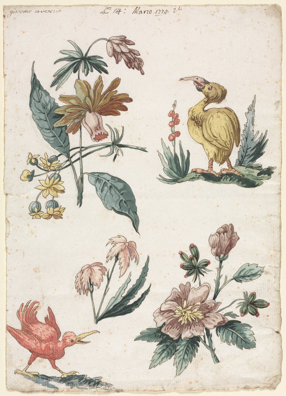 Květinové vzory se dvěma ptáky, 1774. od Giacomo Cavenezia