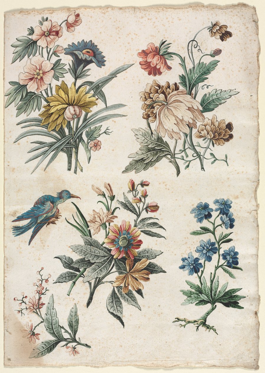 Květinové vzory s modrým ptákem, c. 177374. od Giacomo Cavenezia