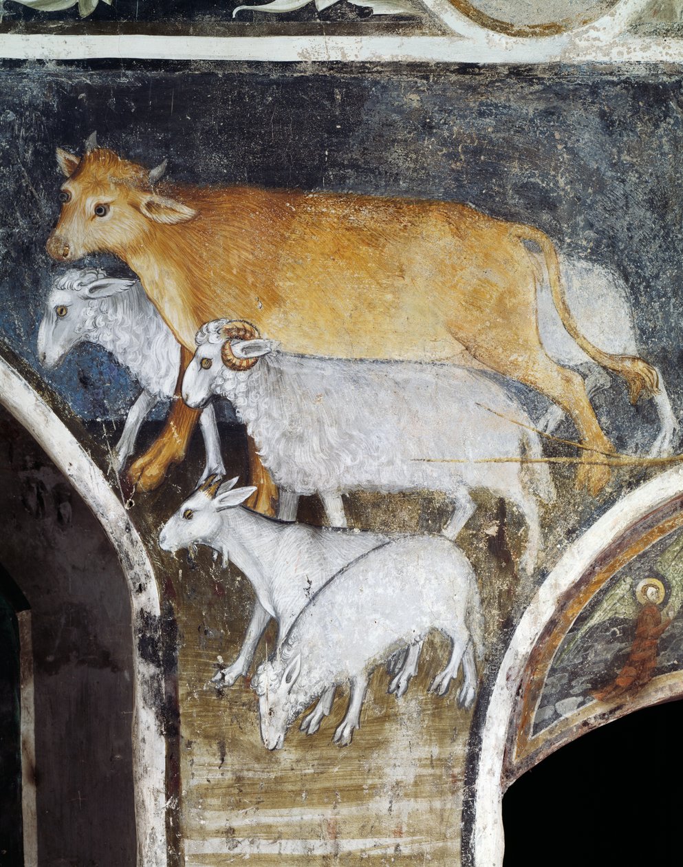 Hospodářská zvířata, detail z fresky od Giacoma Jaqueria (1375-1453), opatství svatého Antonína z Ranverso, Buttigliera Alta, Piemont, Itálie od Giacomo Jaquerio