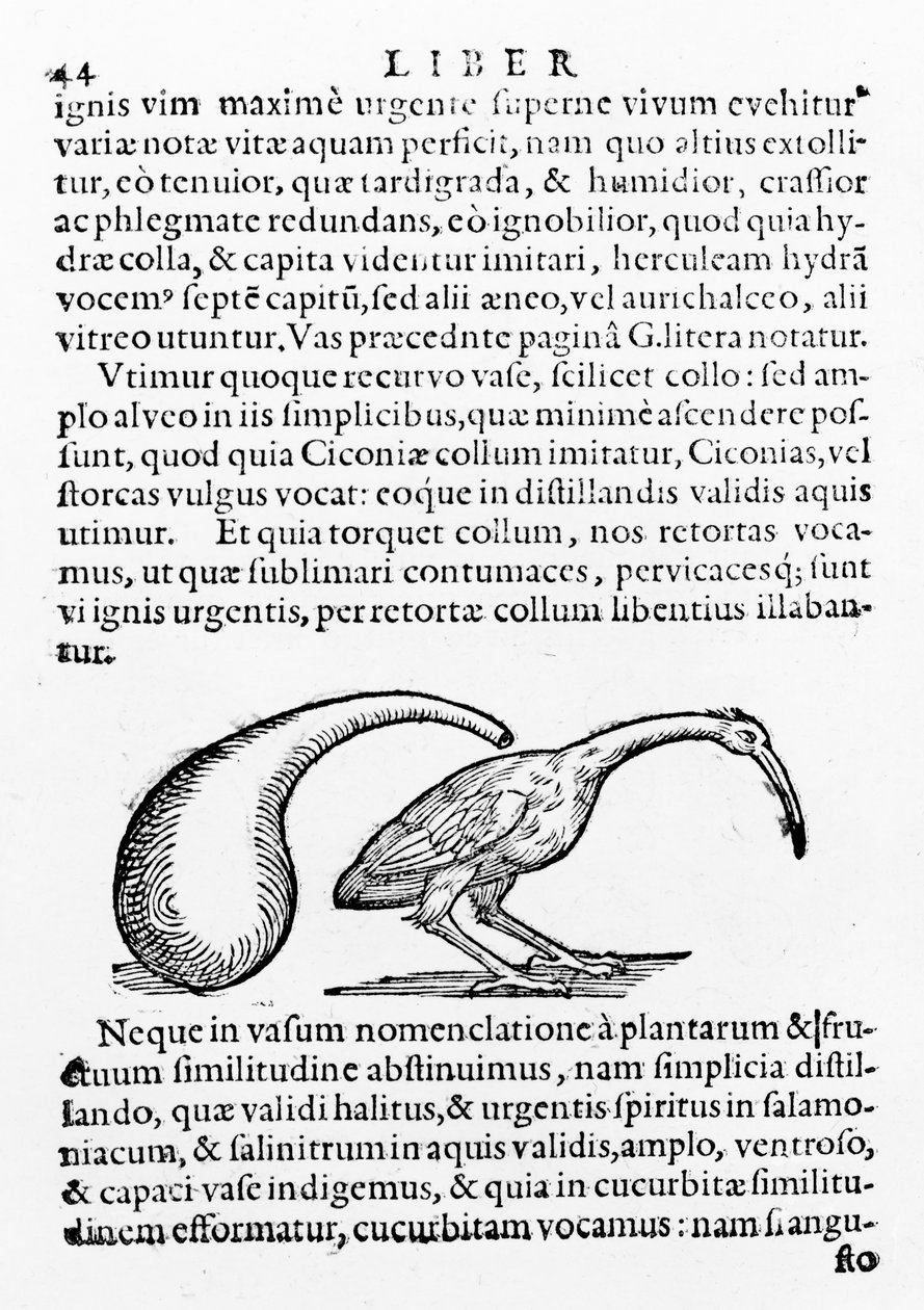 Flakon a ibis, ilustrace z knihy De distillatione od Giambattisty della Porta, vydané roku 1610 od Giambattista della Porta