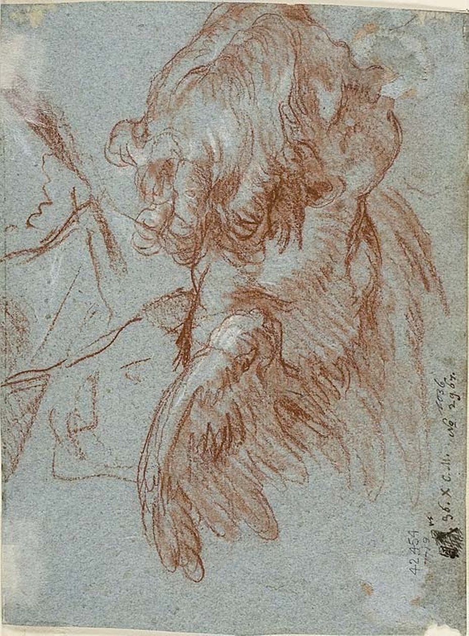 Studie pro detail: Hlava cherubína od Giambattista Tiepolo
