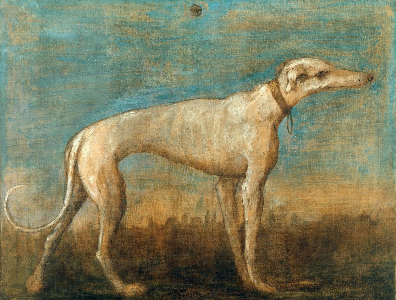 Italský chrt, c. 1793. od Giambattista Tiepolo