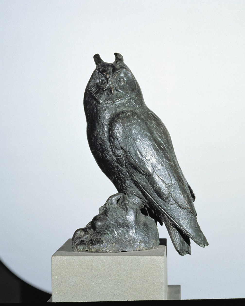 sova (bronzová) od Giambologna