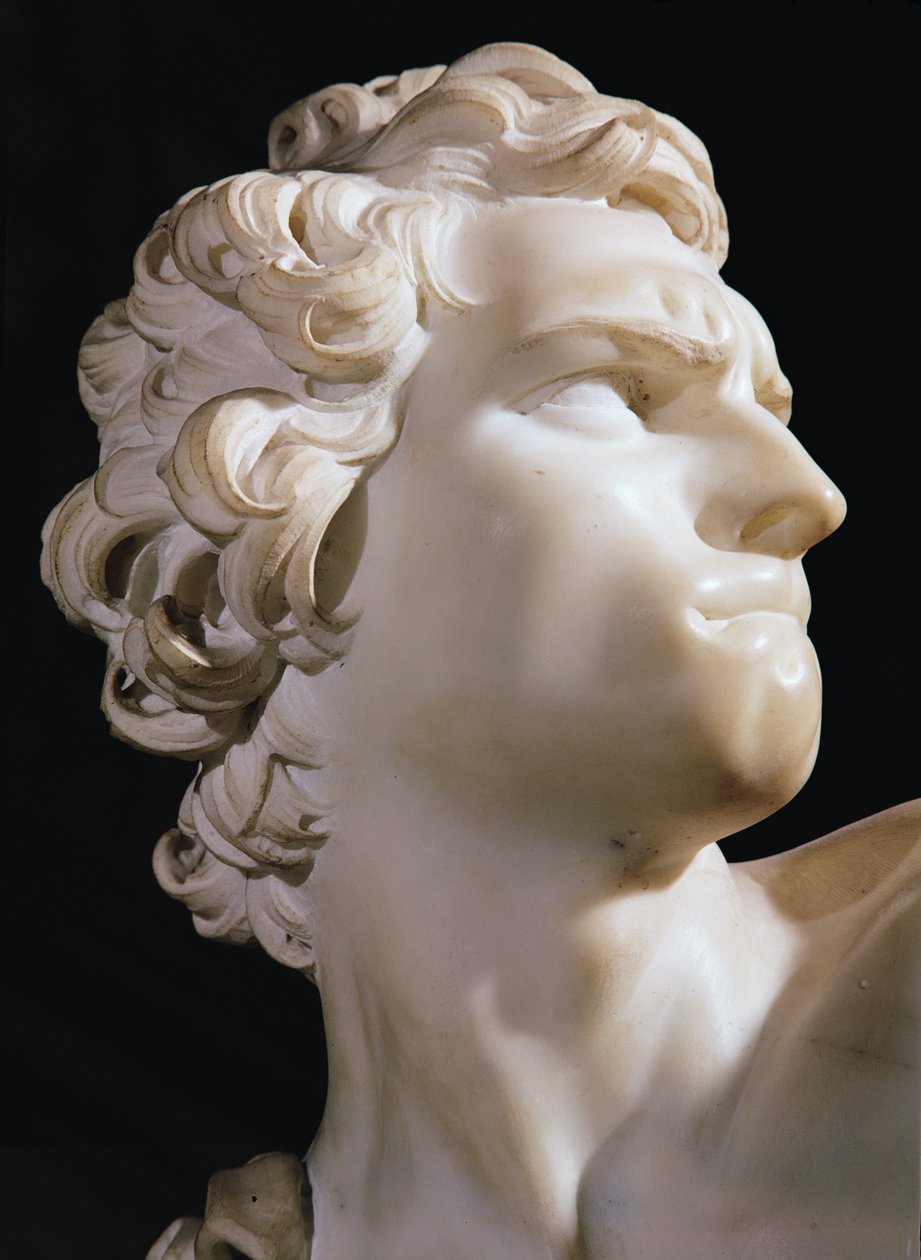 David (detail hlavy, pravý profil), 1623 (mramor) od Gian Lorenzo Bernini