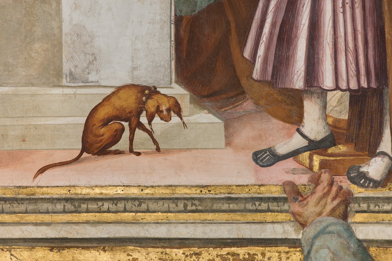 Centrální loď, Páté severní pole, Prezentace do chrámu, Gian Francesco Bembo od Gian Francesco Bembo