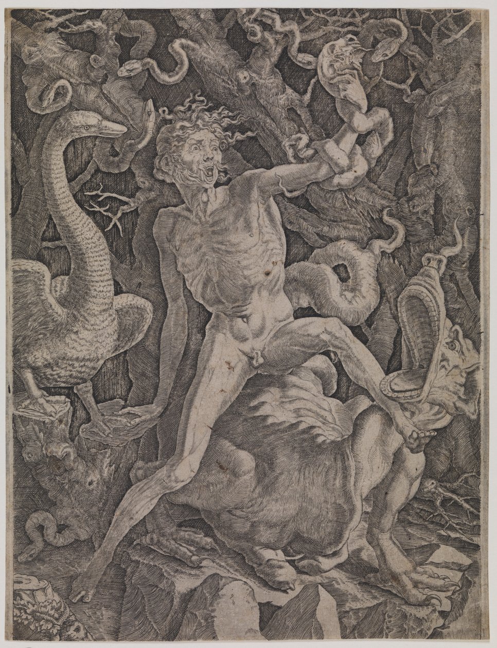 Alegorie hněvu od Gian Jacopo Caraglio