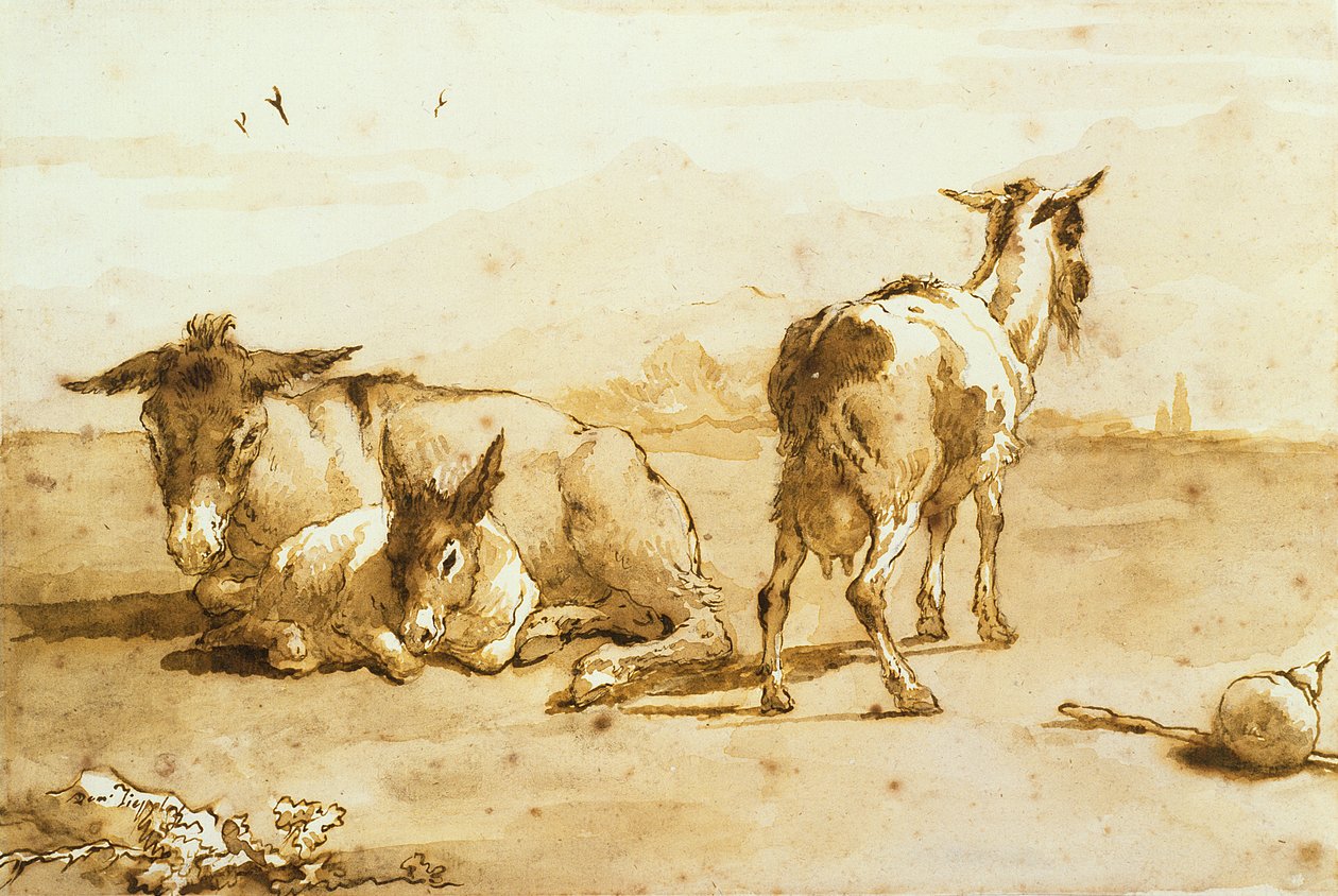 PD.32-1959 Dva osli a koza v krajině (propiska a hnědý inkoust s mytím na papíře) od Giovanni Domenico Tiepolo