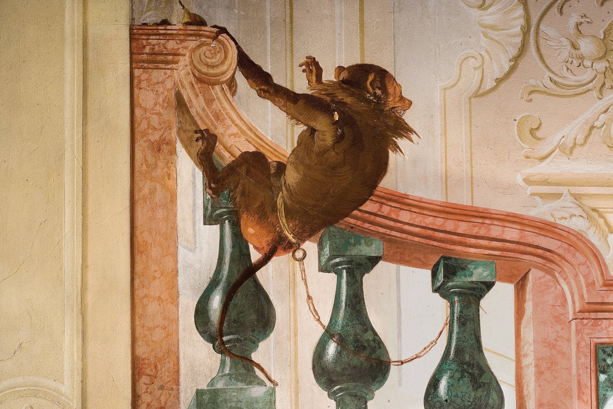 Detail opice, z místnosti karnevalových scén v Foresterii od Giovanni Domenico Tiepolo