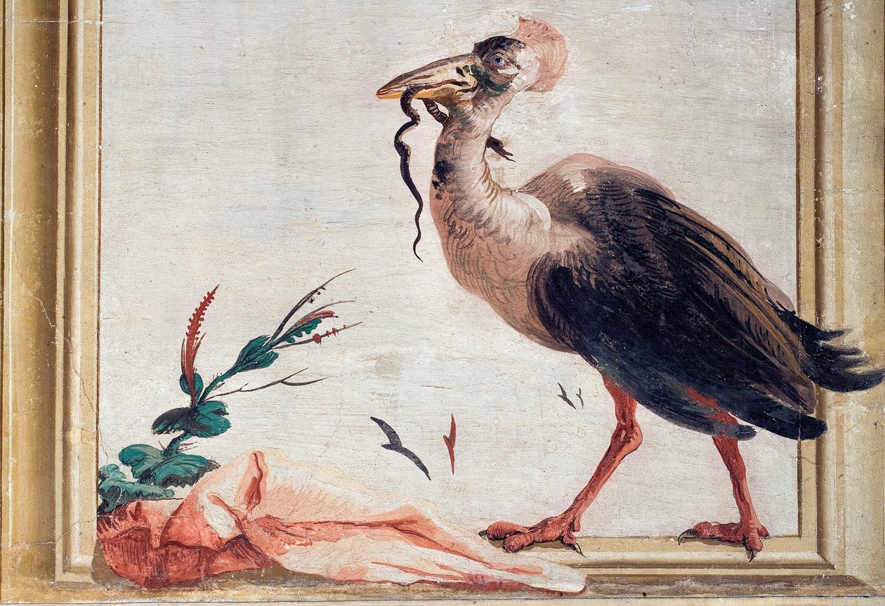Kasuár držící hada v zobáku, z čínského pokoje v Foresterii, 1757 od Giovanni Domenico Tiepolo