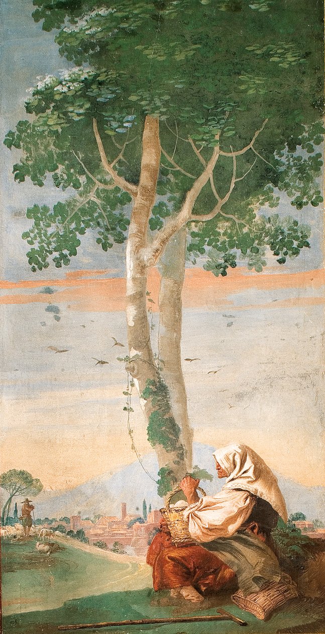 Postarší rolnice sedící pod stromem s košíkem vajíček, z pokoje venkovských scén, 1757 od Giovanni Domenico Tiepolo