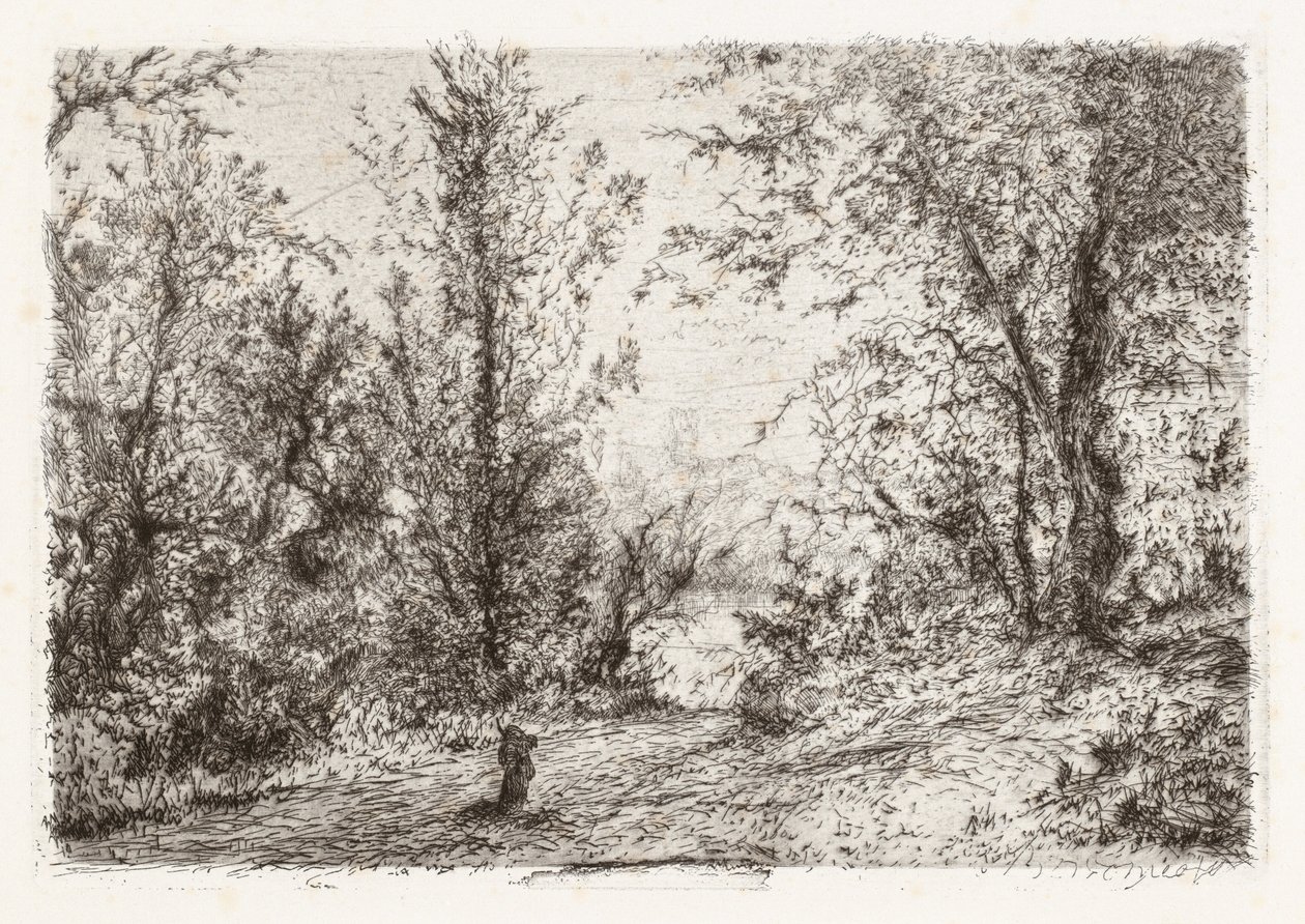 Les na Lago Maggiore [Les na jezeře Maggiore] od Giberto Borromeo