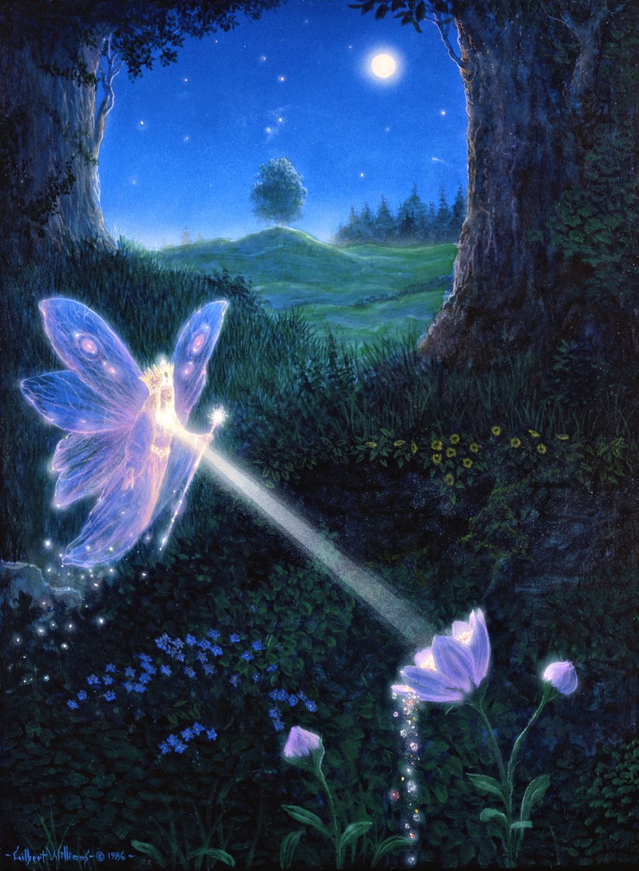 Květina víly od Gilbert Williams