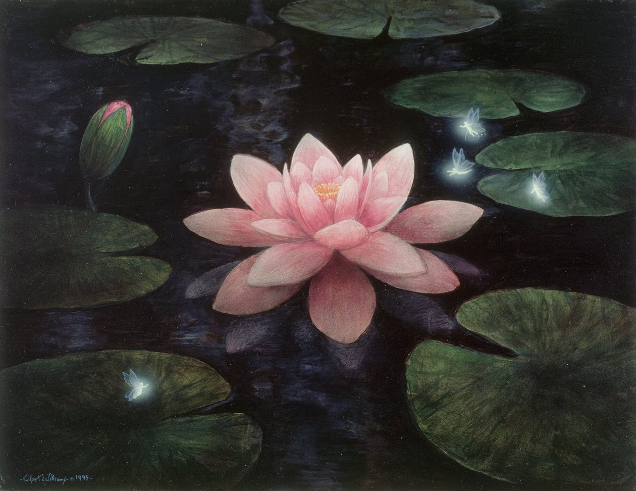 Lotosové sprity od Gilbert Williams