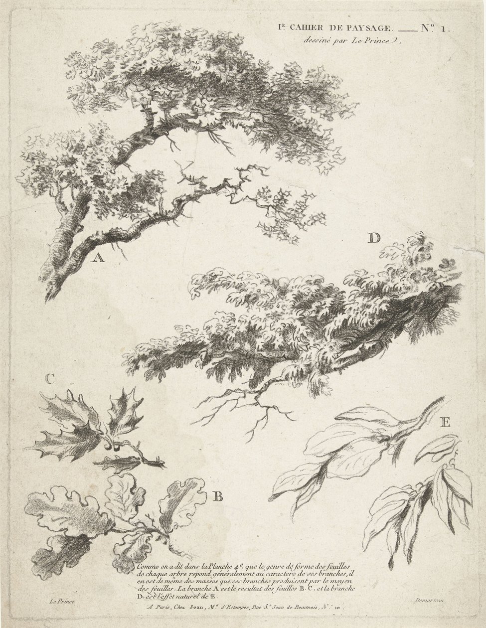 Studie větví s listy 1er Cahier de paysage (název série) od Gilles Demarteau