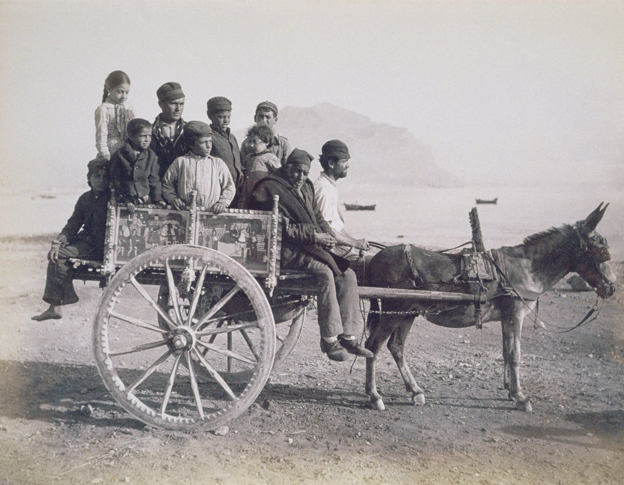 Přeplněný vůz tažený mulou, Palermo, Sicílie, asi 1880 (albumenový tisk) od Giorgio Sommer