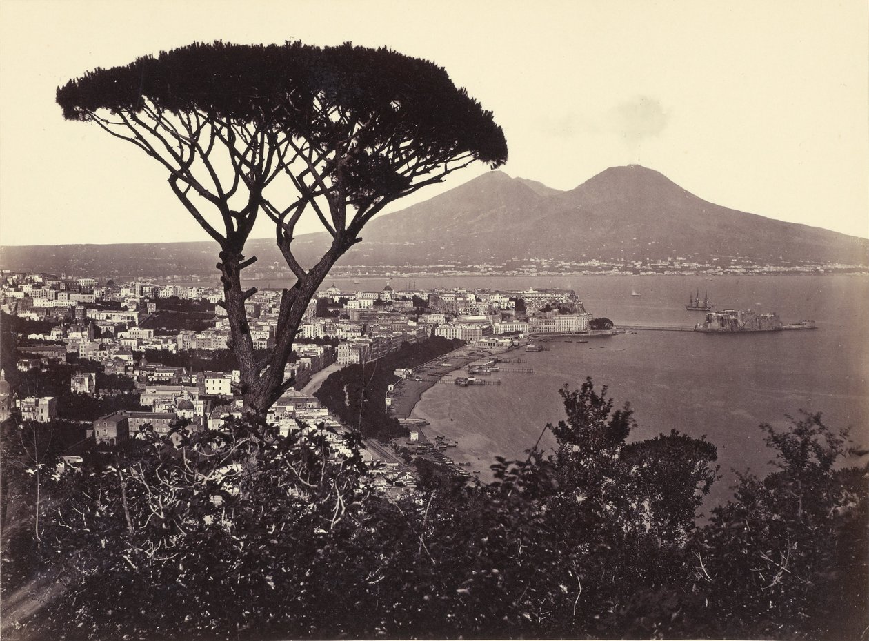 Panorama Vomero s borovicí od Giorgio Sommer