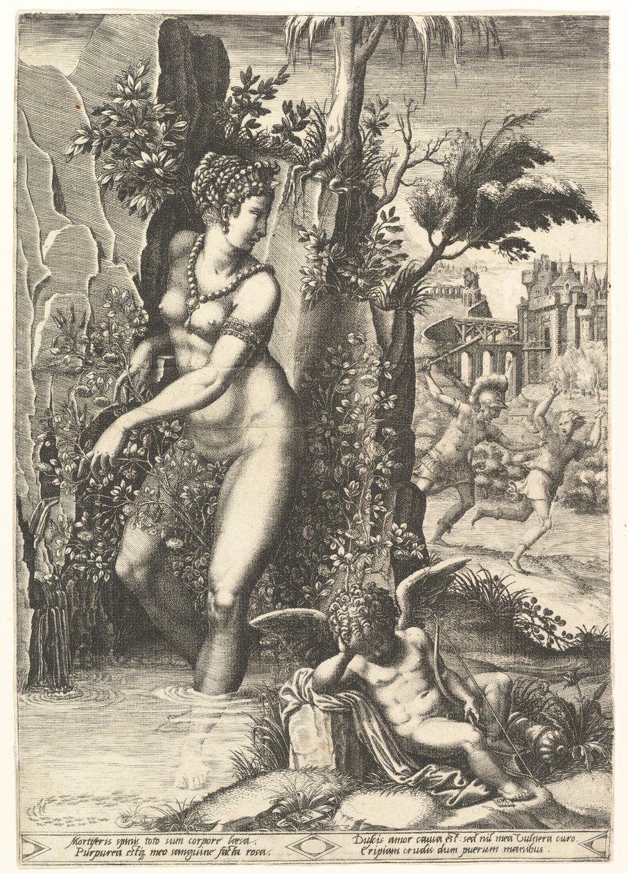 Venuše propíchnutá trny na růžovém keři, v pozadí Mars pronásledující Adonise, v ..., 1556. od Giorgio Ghisi