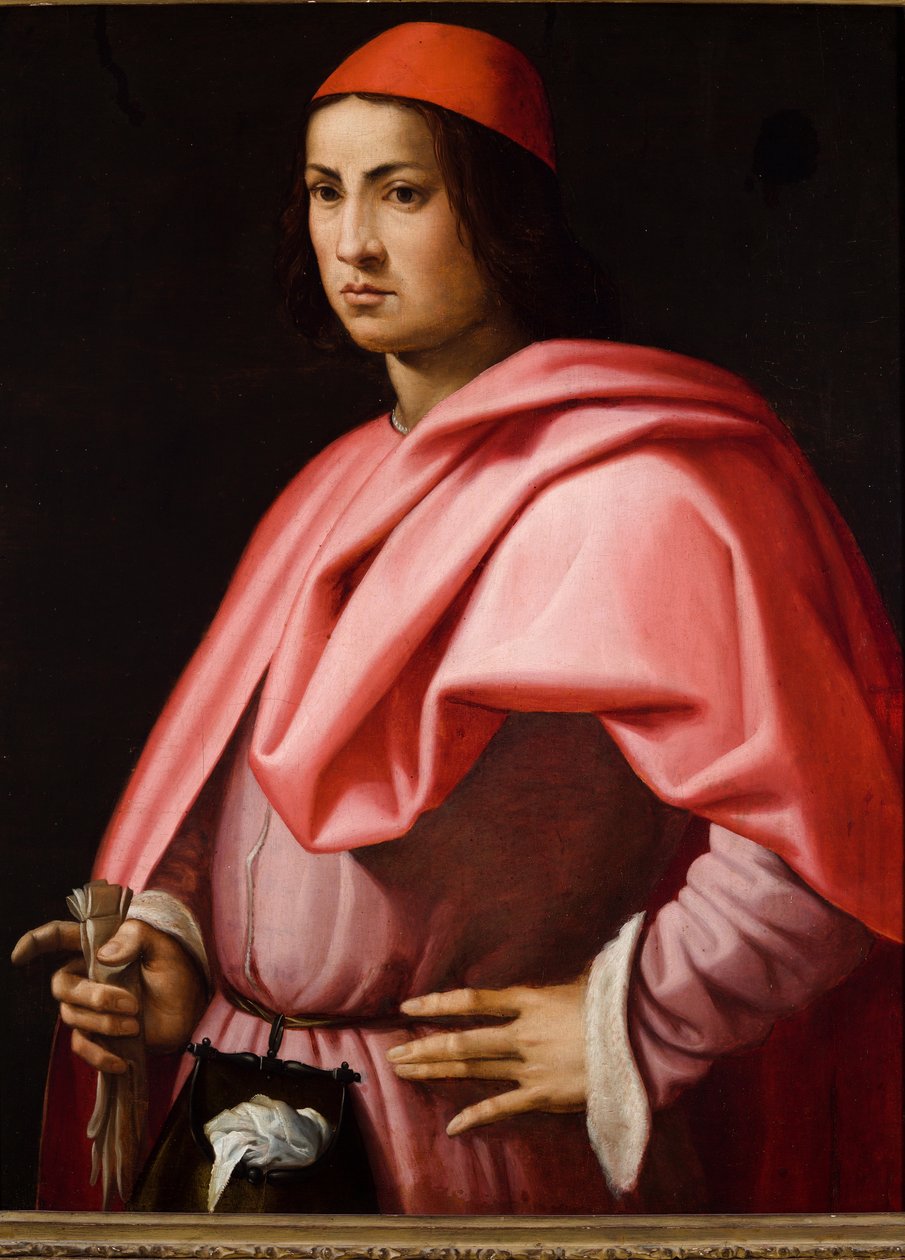 Portrét florentského gentlemana (olej na desce (olej na desce topolu) od Giorgio Vasari