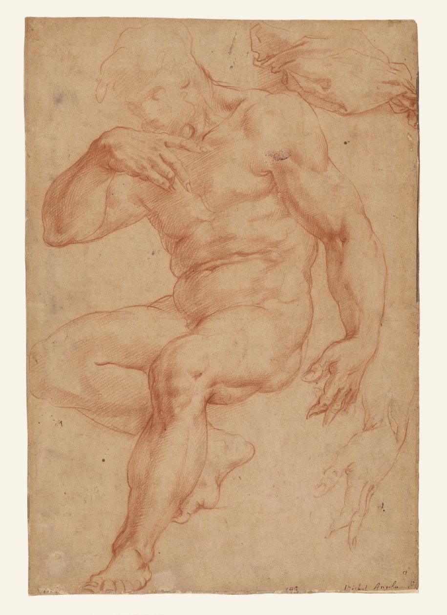 Studien eines männlichen Aktes, eines Gewandes und einer Hand od Giorgio Vasari